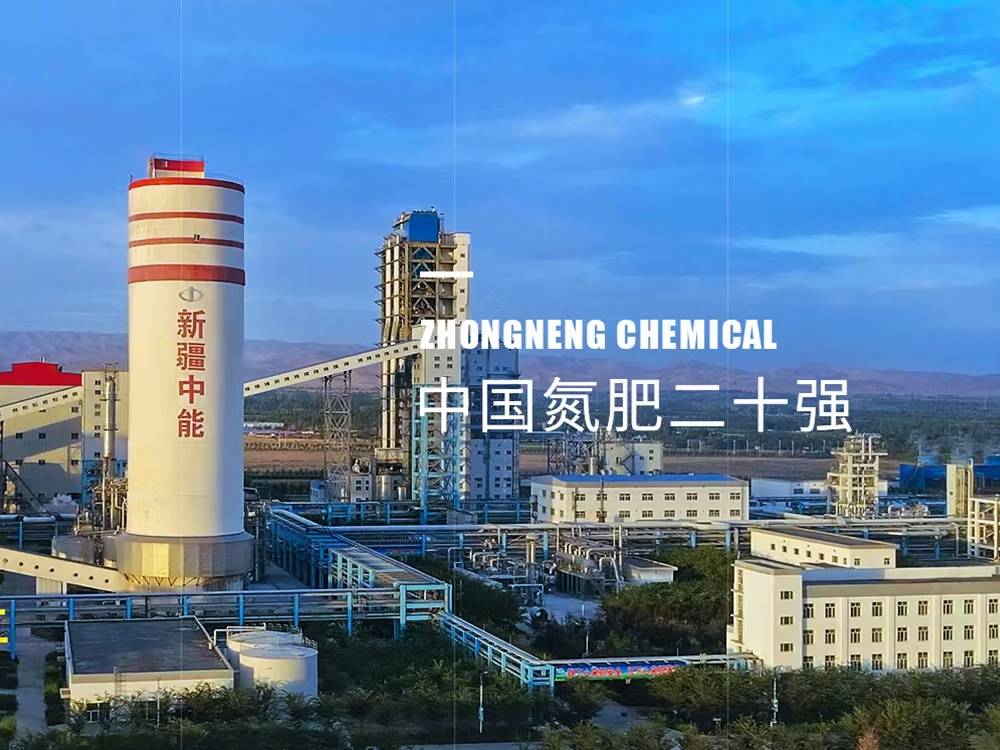 顶部元素